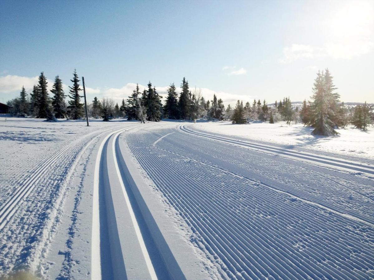 Ski And Bike-In And Out Hafjell Buitenkant foto